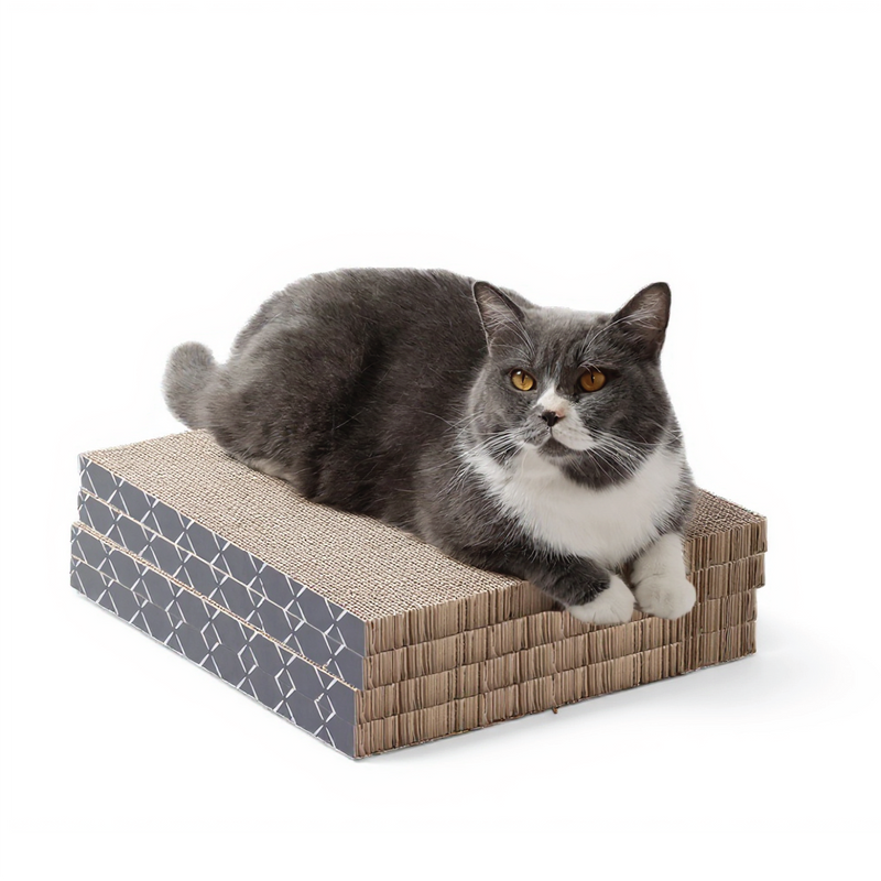 Scratch Pad Refills for Hide & Scratch Box (or use on their own)
