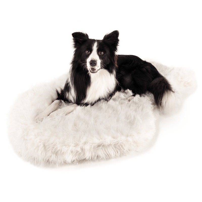 PupRug by Paw.com® Faux Fur Orthopedic Dog Bed - Curve Polar White