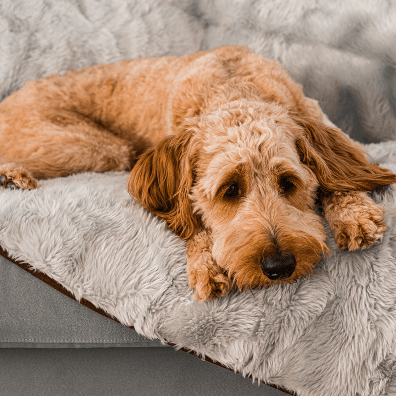 PupProtector™ Summer Short Fur Waterproof Throw Blanket - Grey