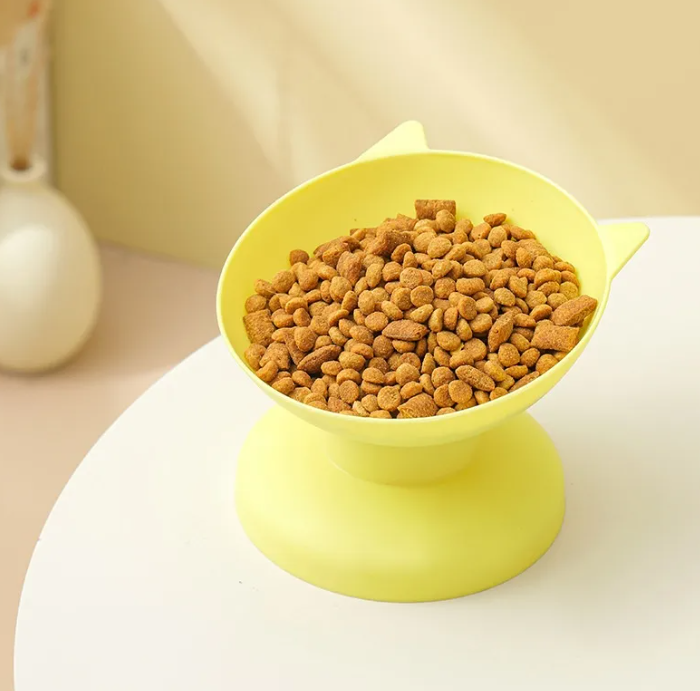 Colorful Cat Dish