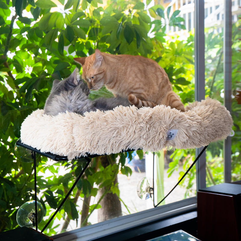 HIPCAT Cat Window Perch & Toy, Beige