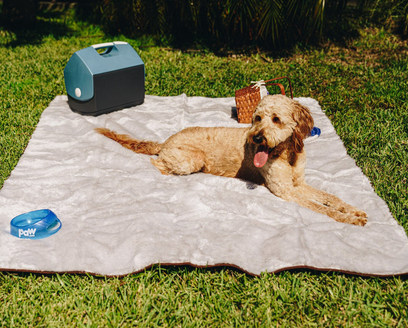 PupProtector™ Summer Short Fur Waterproof Throw Blanket - Grey