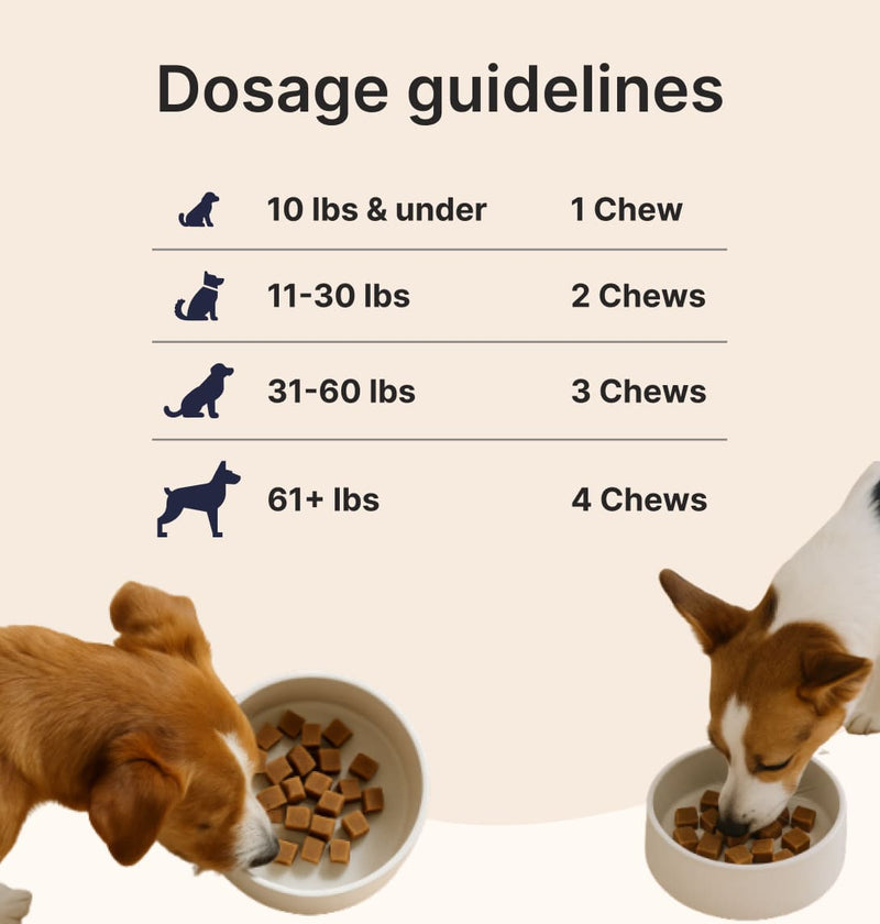 Dog Joint Chews Variety Pack β Chicken + Beef Flavors (2 Tubs, 180 Chews)