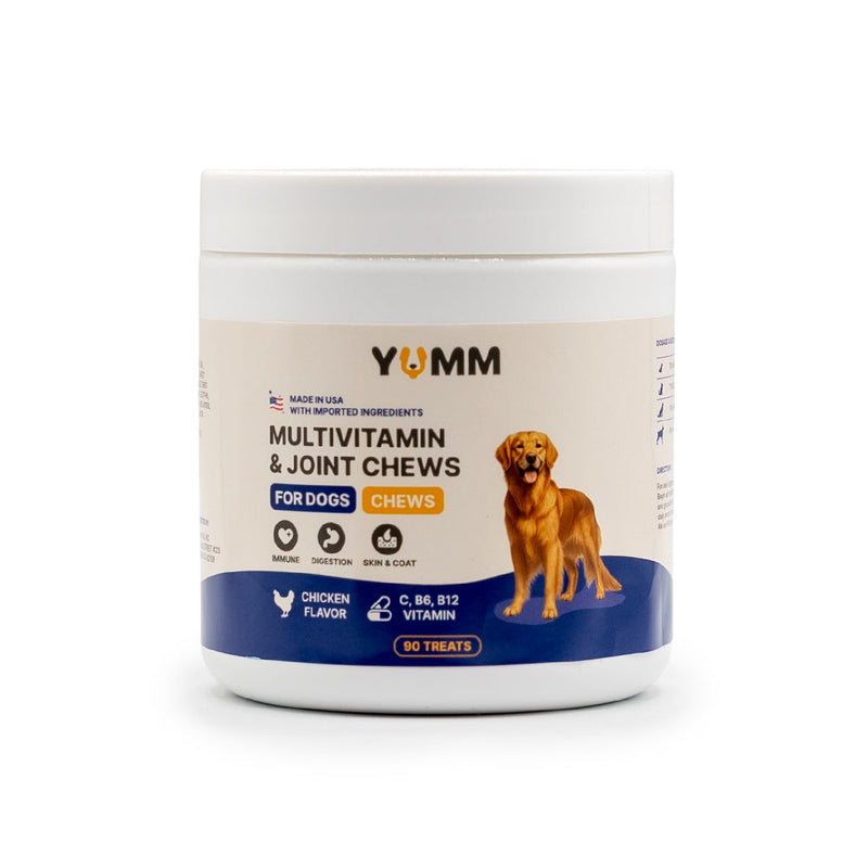 Dog Joint & Multivitamin Chews β Glucosamine, MSM + Daily Vitamins (90 Soft Chews)