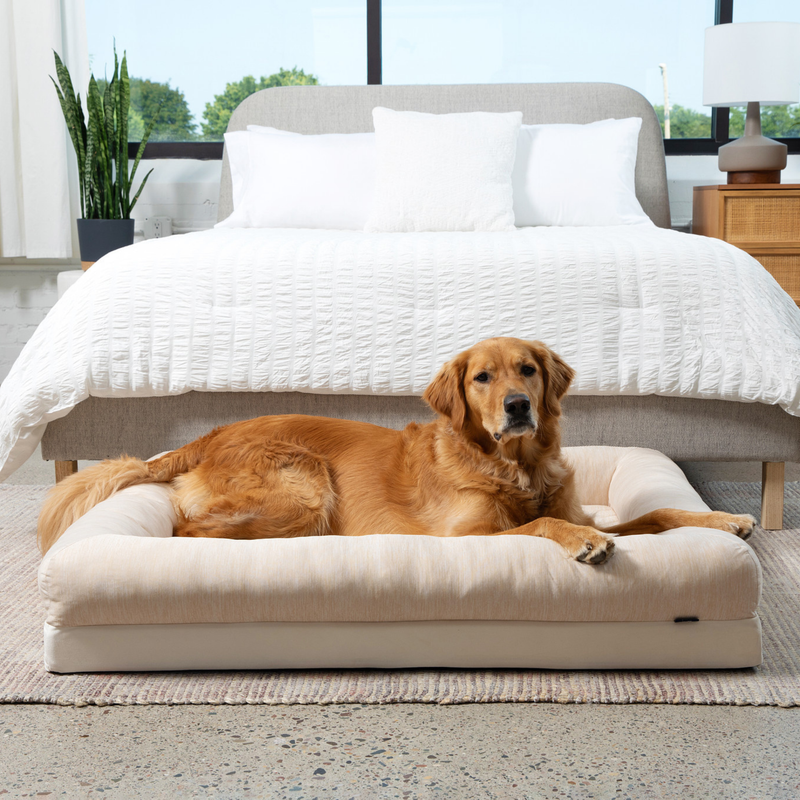 PupChill™ Cooling 4-Bolster Dog Bed - Arctic Sand