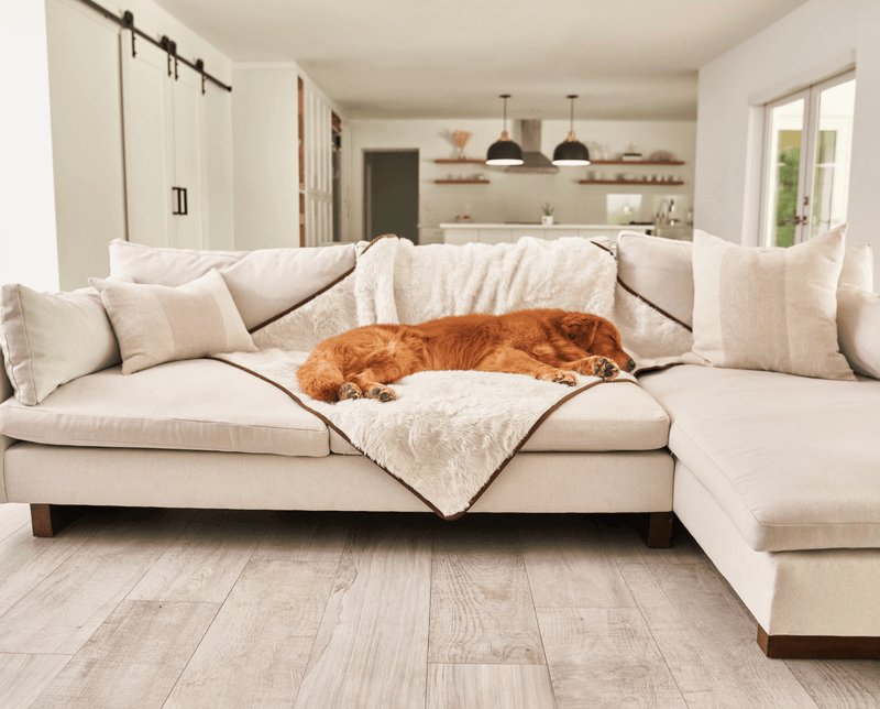 PupProtector™ Summer Short Fur Waterproof Throw Blanket - Polar White