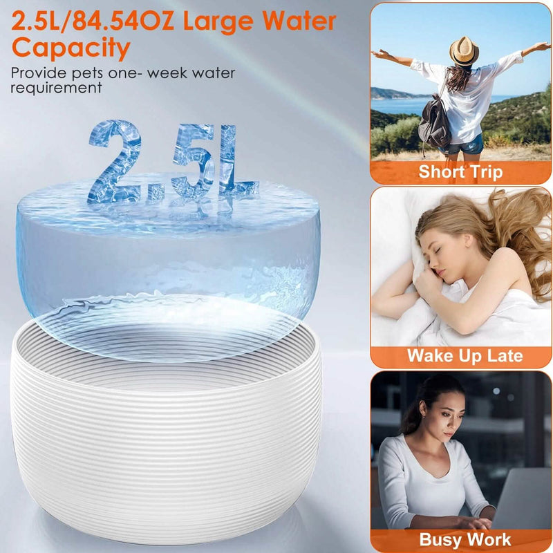 Pet Water Fountain with LED Light & 7 Replacement Filters