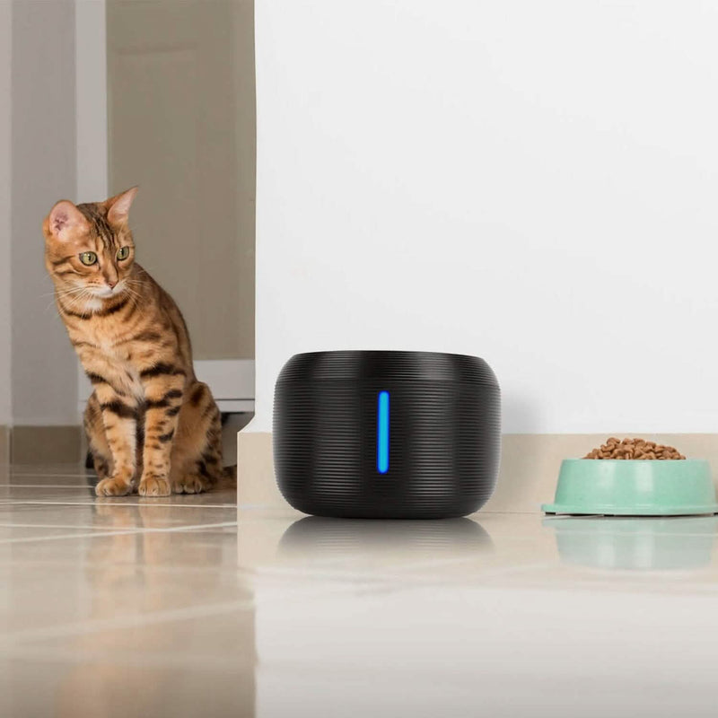 Pet Water Fountain with LED Light & 7 Replacement Filters