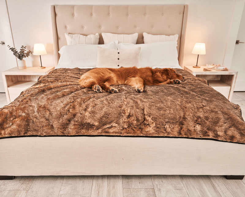 PupProtector™ Summer Short Fur Waterproof Throw Blanket - Sable Tan