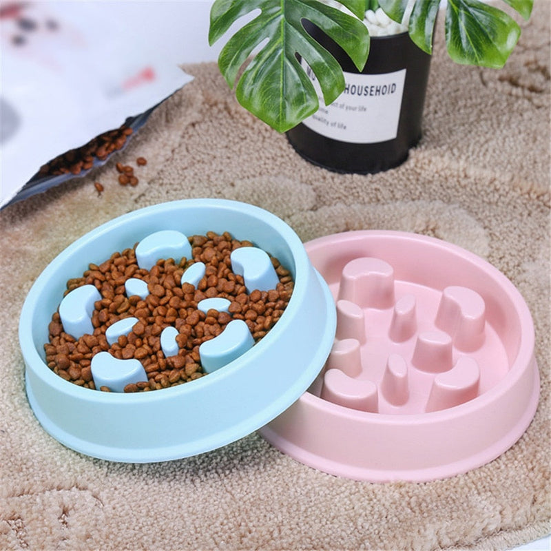 Slow-Feeding Puzzle Bowl
