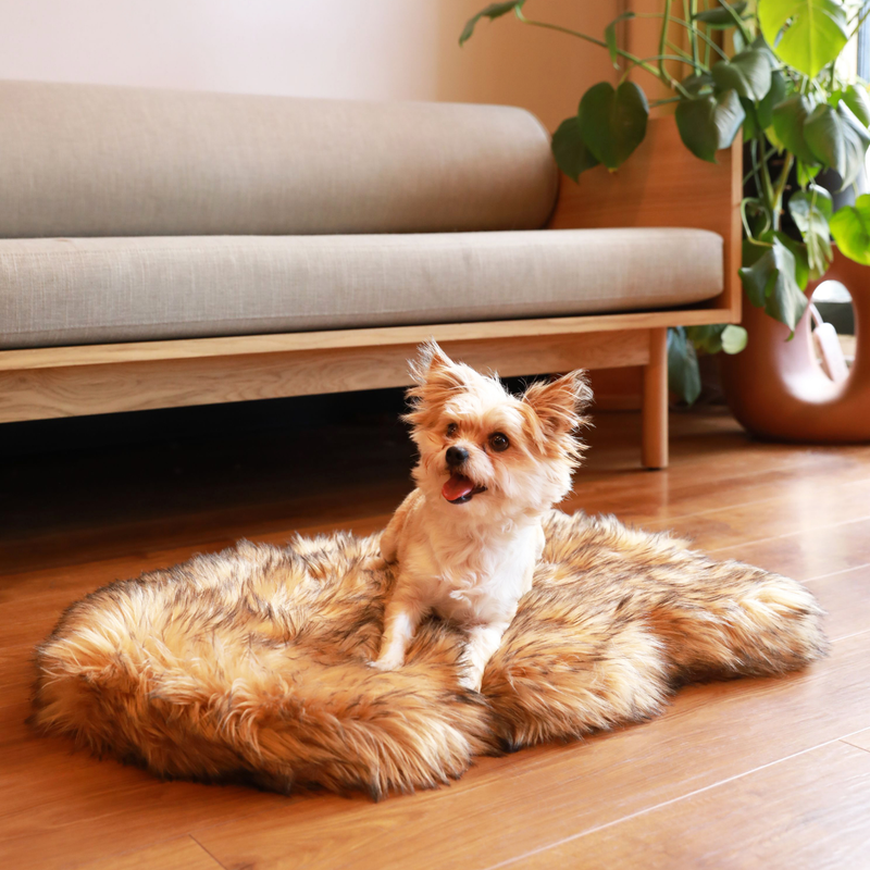 PupRug by Paw.com® Faux Fur Orthopedic Dog Bed - Curve Sable Tan