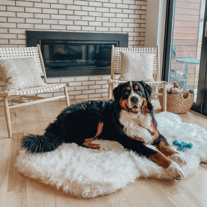 PupRug by Paw.com® Faux Fur Orthopedic Dog Bed - Curve Polar White