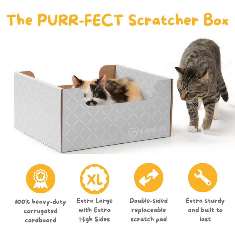 Hide & Scratch Extra-Large Cat Scratcher Box