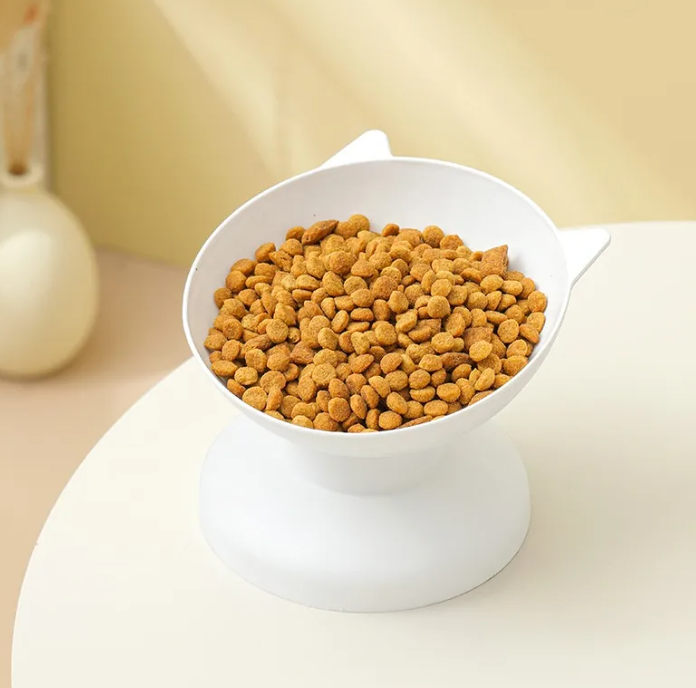 Colorful Cat Dish