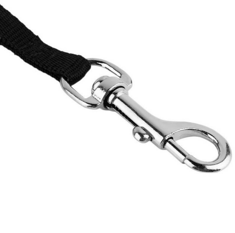 Nylon Leash for Cats & Dogs, 3 m