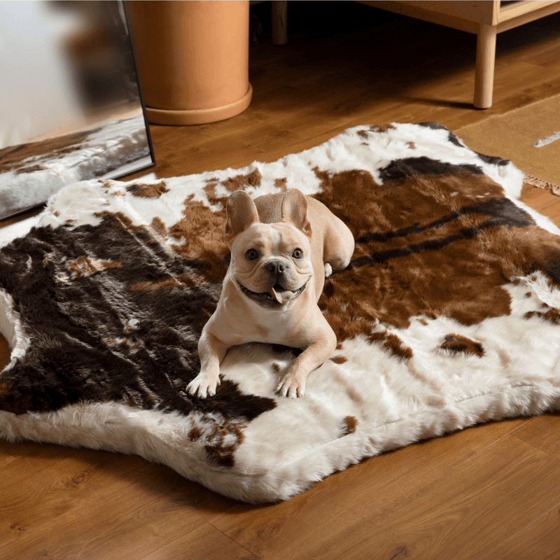 PupRug® Animal Print Memory Foam Dog Bed - Brown Faux Cowhide