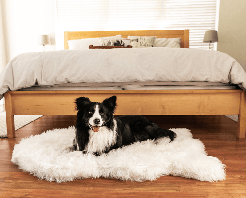 PupRug by Paw.com® Faux Fur Orthopedic Dog Bed - Curve Polar White