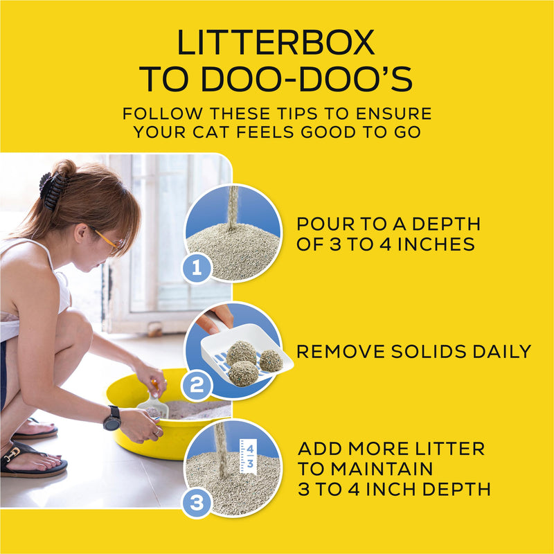 Purina Tidy Cats Lightweight Scented Cat Litter, 12 lb. Box