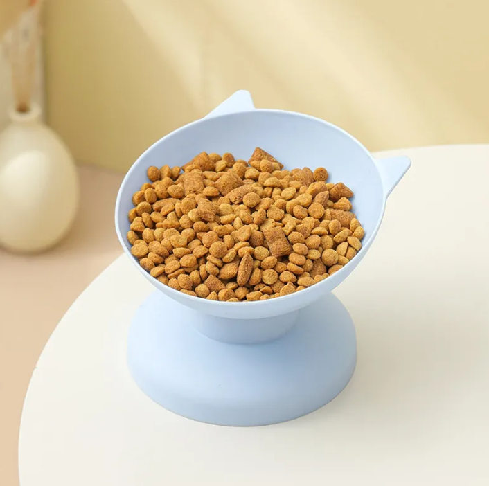 Colorful Cat Dish