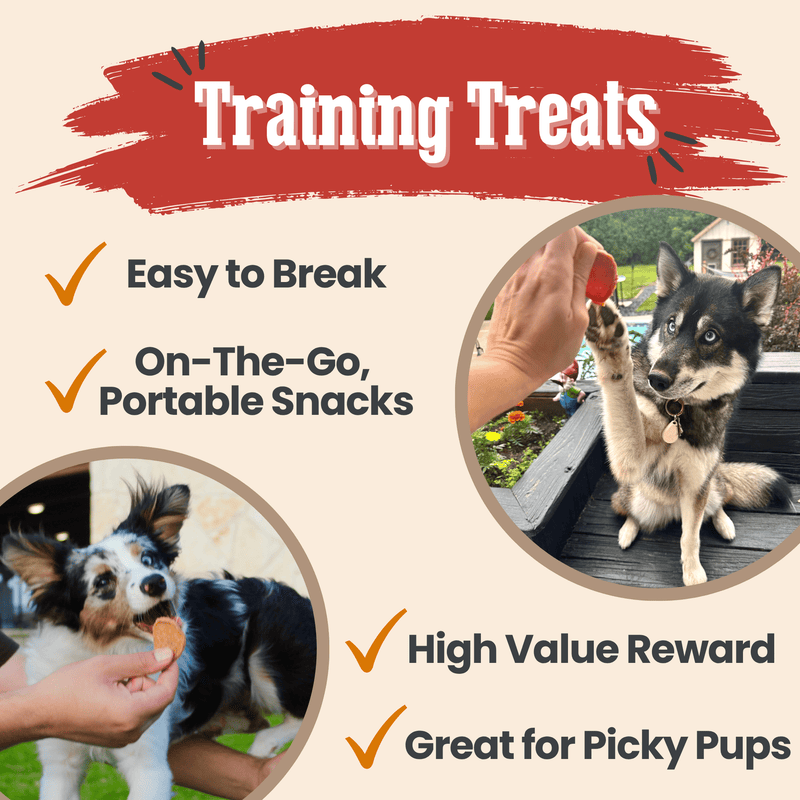Turkey & Chicken Chip Dog Treat Duo | Single-Ingredient Poultry Treats for Dogs