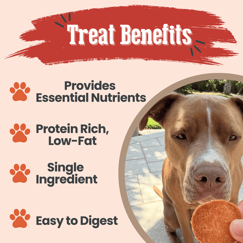 Turkey Chips for Dogs | All-Natural Single-Ingredient Healthy Dog Treats