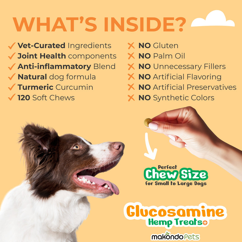 Glucosamine for Dogs | 120 Soft Chews
