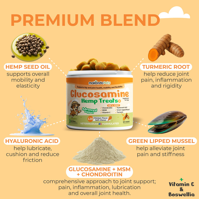 Glucosamine for Dogs | 120 Soft Chews