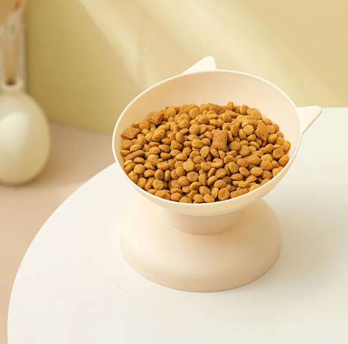 Colorful Cat Dish