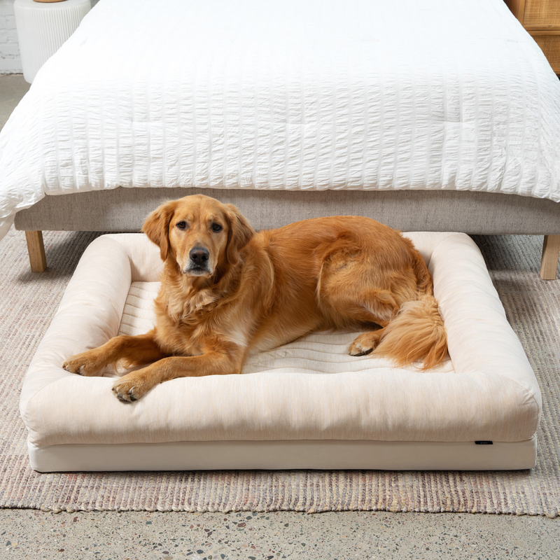 PupChill™ Cooling 4-Bolster Dog Bed - Arctic Sand