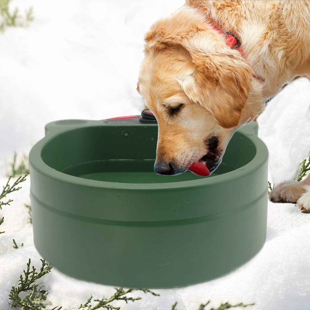 Outdoor Heated Bowl for Cats & Dogs