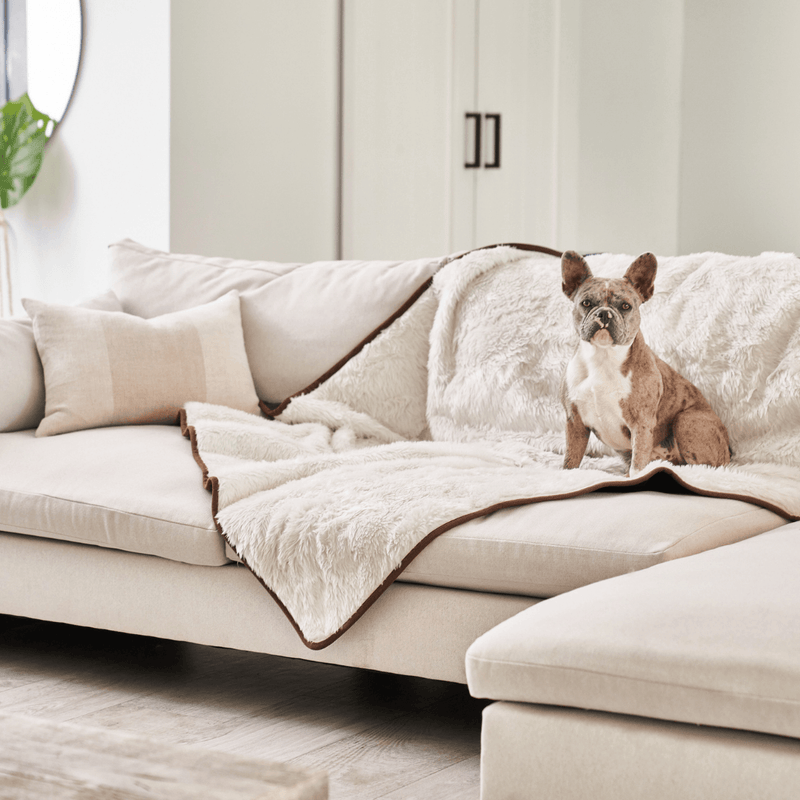 PupProtector™ Summer Short Fur Waterproof Throw Blanket - Polar White